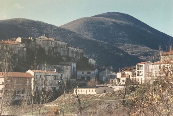 1984 Colli Terremoto